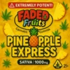 faded fruits​
